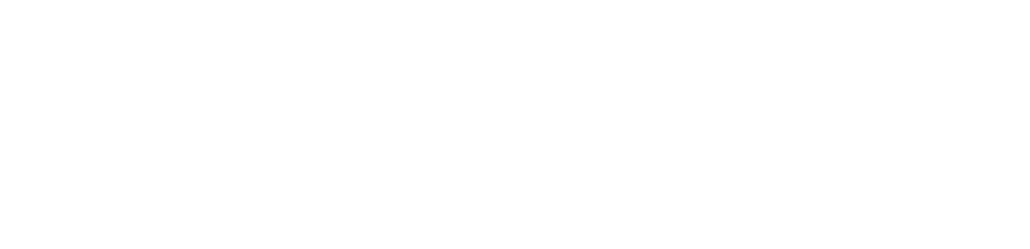 World Group & Investment